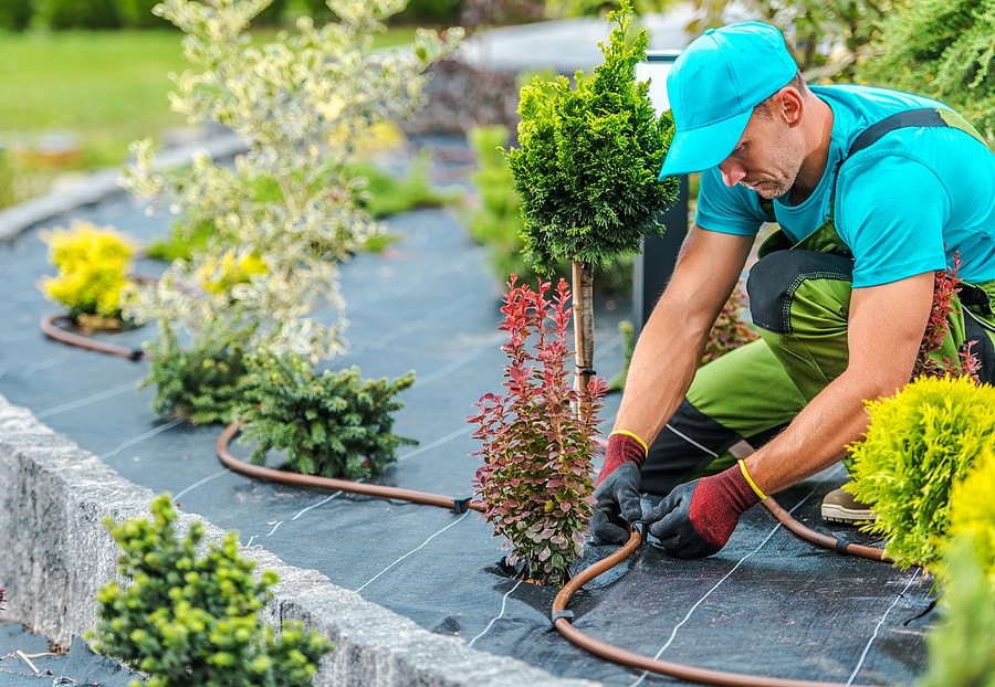 a man working on a garden with a hose