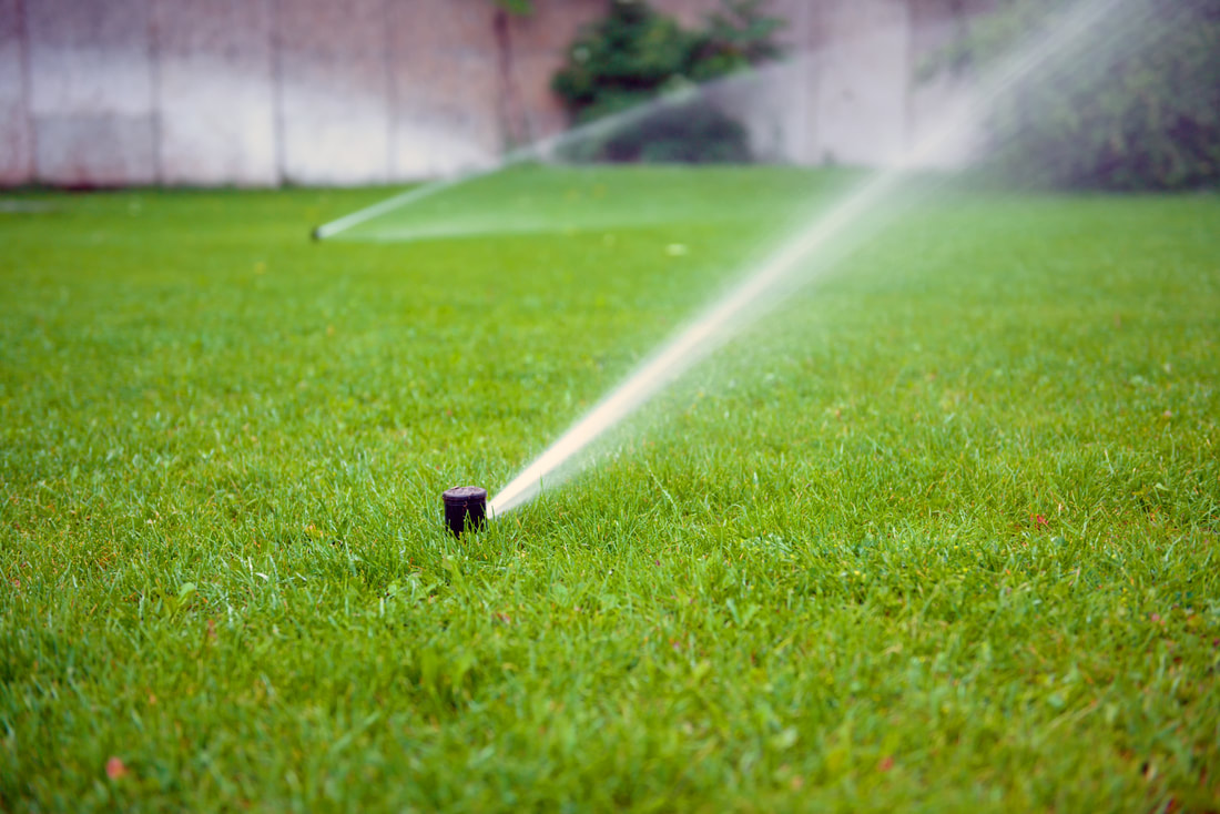 a sprinkler spraying water on a green lawn